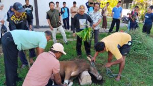 SMK Negeri 3 Kota Bima Gelar Kurban Idul Adha 1447 H, Wujudkan Kepedulian dan Semangat Berbagi