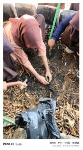 Program TAPSI Gubernur NTB Diimplementasikan melalui Projek Budidaya Cabai di SMKN 3 Kota Bima